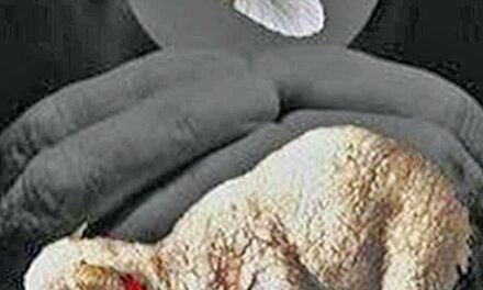 Evangelio de Hoy, Domingo 14 de Enero 2024