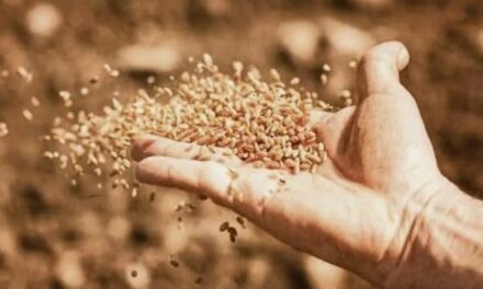 Evangelio de Hoy, Miércoles 24 de Enero 2024