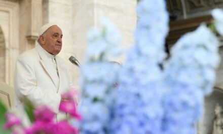 Papa Francisco: Sin justicia no hay paz, hay que promover el bien común