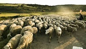 Evangelio de Hoy, Lunes 22 de Abril 2024