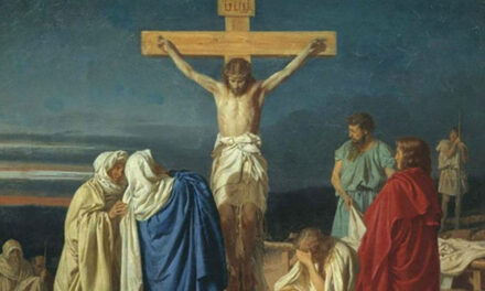 Evangelio de Hoy, Lunes 20 de Mayo 2024, María Madre de la Iglesia