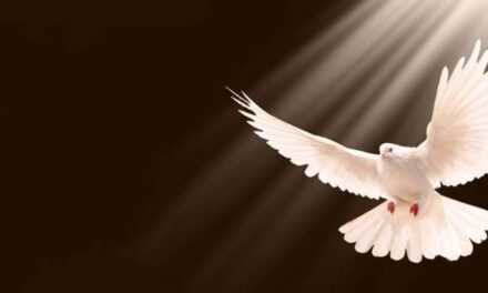 Evangelio de Hoy, Martes 7 de Mayo 2024