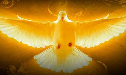 Evangelio de Hoy, Lunes 6 de Mayo 2024