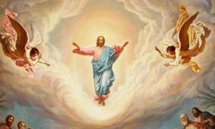 Evangelio de Hoy, Domingo 12 de Mayo, Fiesta de la Ascensión del Señor