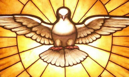 Evangelio de Hoy, Miércoles 8 de Mayo 2024