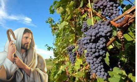 Evangelio de Hoy, Lunes 3 de Junio 2024