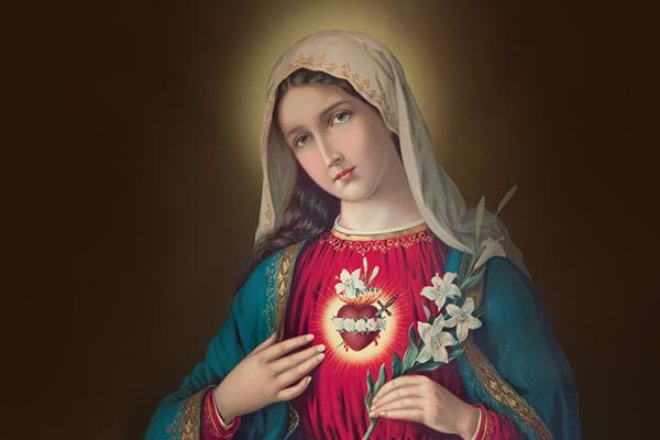 Evangelio de Hoy, Sábado 8 de Junio 2024