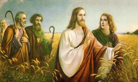 Evangelio de Hoy, Viernes 19 de Julio 2024