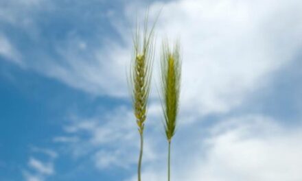 Evangelio de Hoy, Sábado 27 de Julio 2024