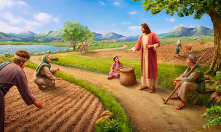 Evangelio de Hoy, Miércoles 24 de Julio 2024