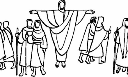 Evangelio de Hoy, Domingo 14 de Julio 2024