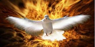 Evangelio de Hoy, Viernes 12 de Julio 2024