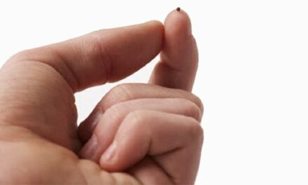 Evangelio de Hoy, Lunes 29 de Julio 2024