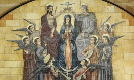 Evangelio de Hoy, Jueves 22 de Agosto 2024, fiesta Santa María Reina