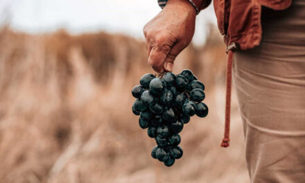 Evangelio de Hoy, Miércoles 21 de Agosto 2024