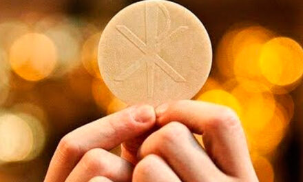 Evangelio de Hoy, Domingo 4 de Agosto 2024