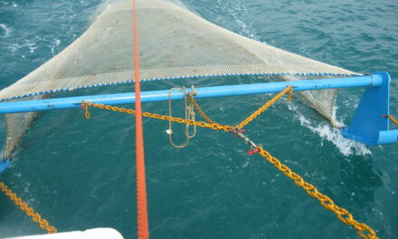 Evangelio de Hoy, Jueves 1 de Agosto 2024