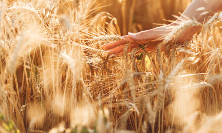 Evangelio de Hoy, Sábado 7 de Septiembre 2024