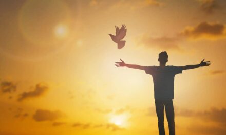 Evangelio de Hoy, Domingo 13 de Octubre 2024