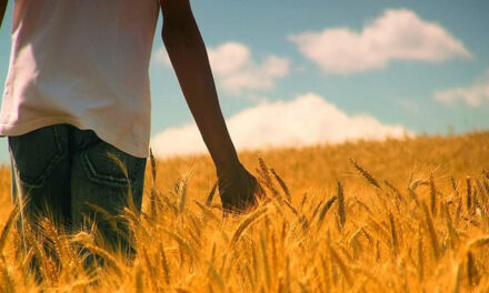 Evangelio de Hoy, Jueves 3 de Octubre 2024