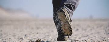 Evangelio de Hoy, Jueves 31 de Octubre 2024