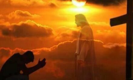 Evangelio de Hoy, Viernes 4 de Octubre 2024, fiesta de san Francisco de Asís