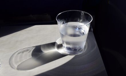 Evangelio de Hoy, Martes 15 de Octubre 2024