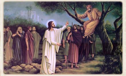 Evangelio de Hoy, Martes 19 de Noviembre 2024