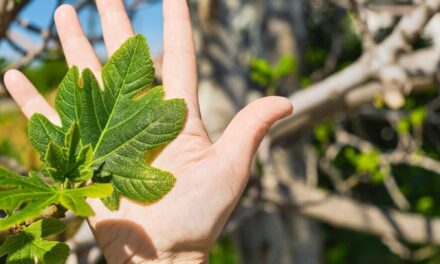 Evangelio de Hoy, Viernes 29 de Noviembre 2024