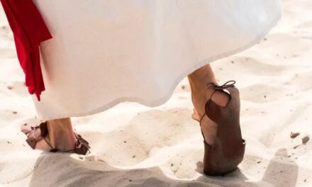 Evangelio de Hoy, Miércoles 6 de Noviembre 2024