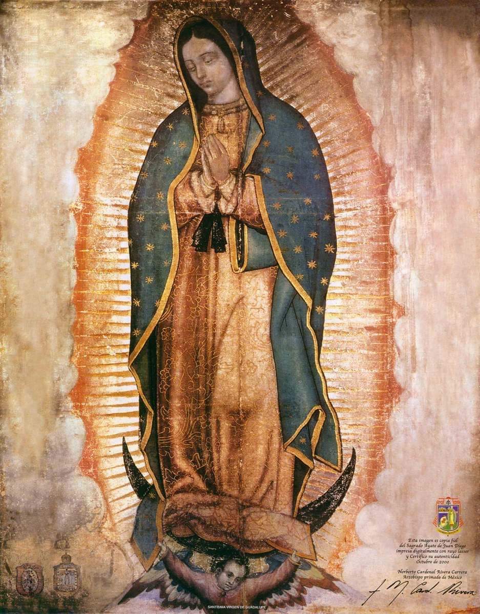 Evangelio de Hoy, Jueves 12 de Diciembre 2024, festividad de Nuestra Señora de Guadalupe