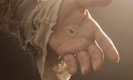 Evangelio de Hoy, Viernes 6 de Noviembre 2024