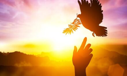 Evangelio de Hoy, Domingo 26 de Enero 2025