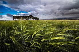 Evangelio de Hoy, Martes 21 de Enero 2025