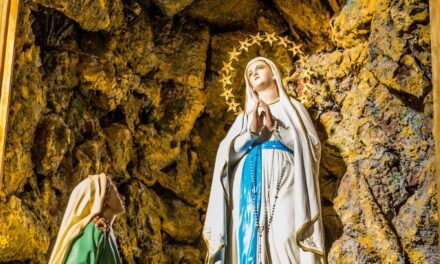 Evengelio de Hoy, Martes 11 de Febrero 2025, Festividad de Nuestra Señora de Lourdes