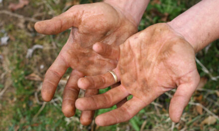 Evangelio de Hoy, Miércoles 12 de Febrero 2025