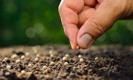 Lunes de la Cuarta semana de Cuaresma