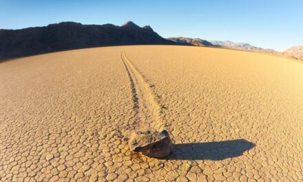 Evangelio de Hoy, Viernes 11 de Abril 2025
