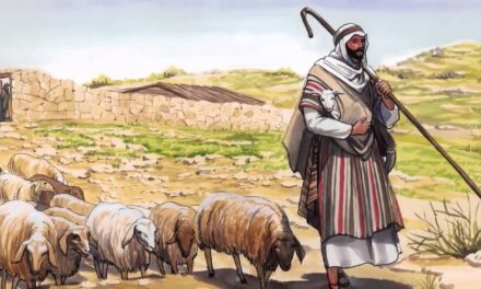 Evangelio de Hoy, Domingo 11 de Mayo 2025