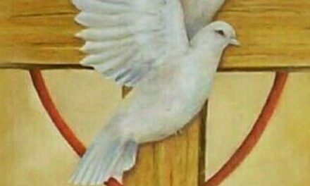 Evangelio de Hoy, Miércoles 28 de Mayo de 2025