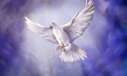 Evangelio de Hoy, Lunes 26 de Mayo 2025