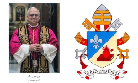 Actividad del Papa León XIV