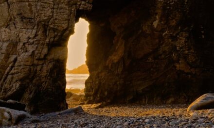 Evangelio de Hoy, Lunes 19 de Mayo 2025