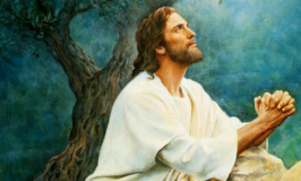 Evangelio de Hoy, Martes 3 de Junio 2025