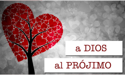 Evangelio de Hoy, Domingo 13 de Julio 2025