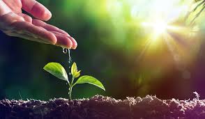 Evangelio de Hoy, Lunes 28 de Julio 2025