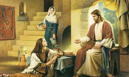 Evangelio de Hoy, Domingo 20 de Julio 2025