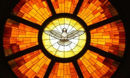 Evangelio de Hoy, Domingo 17 de Agosto 2025