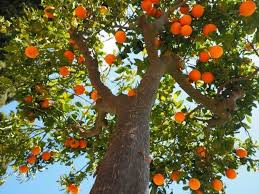 Evangelio de Hoy, Sábado 13 de Septiembre 2025