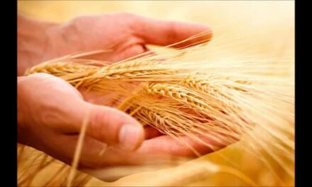 Evangelio de Hoy, Sábado 6 de Septiembre 2025